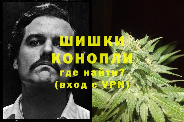 PSILOCYBIN Арсеньев